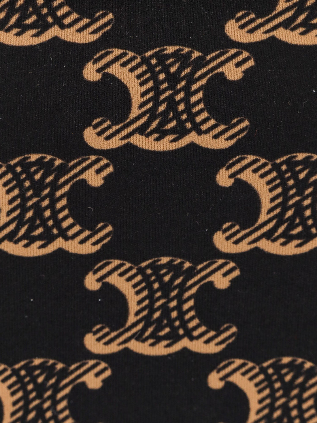 Bikini slip with Triomphe print