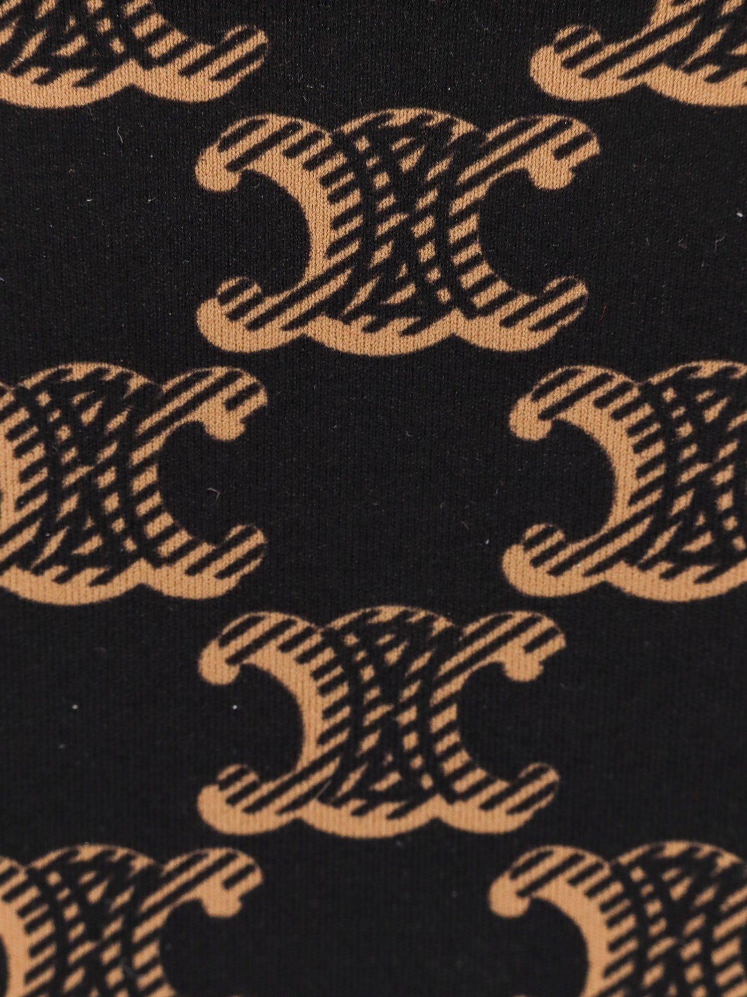 Bikini slip with Triomphe print