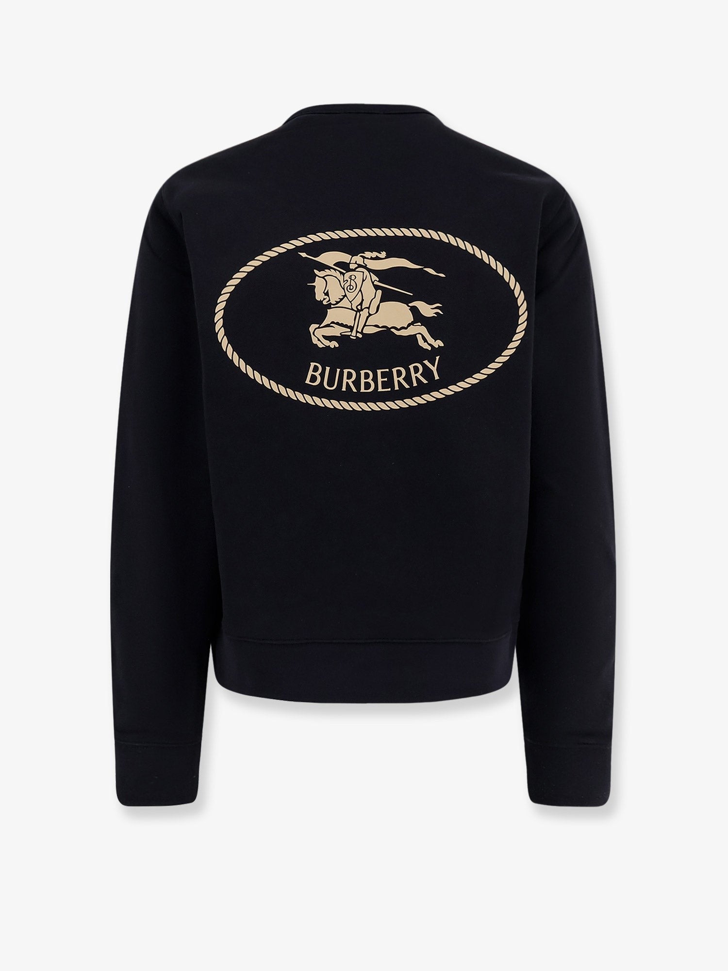 Cotton sweatshirt with logo embroidery