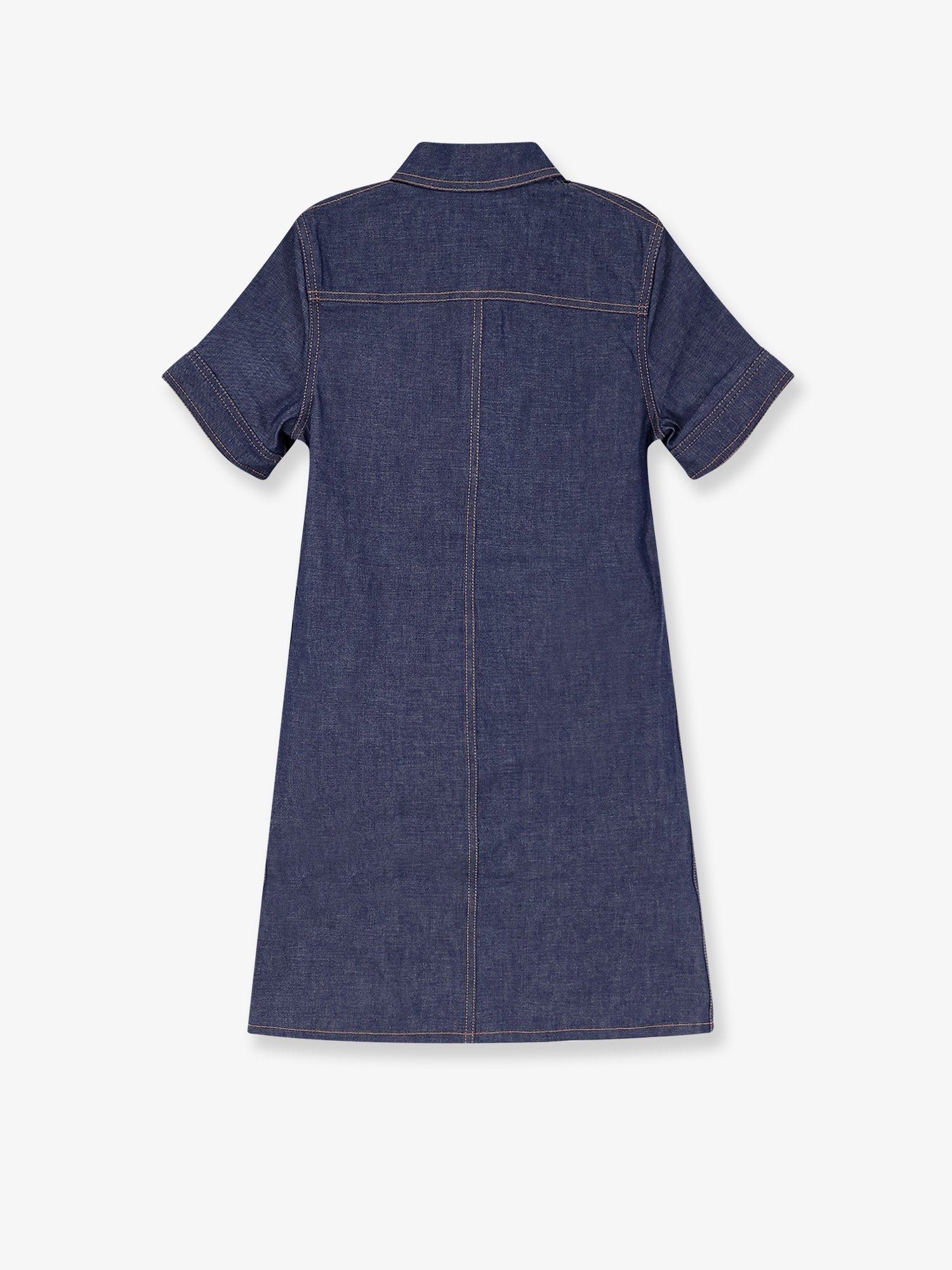 Denim mini chemisier/dress