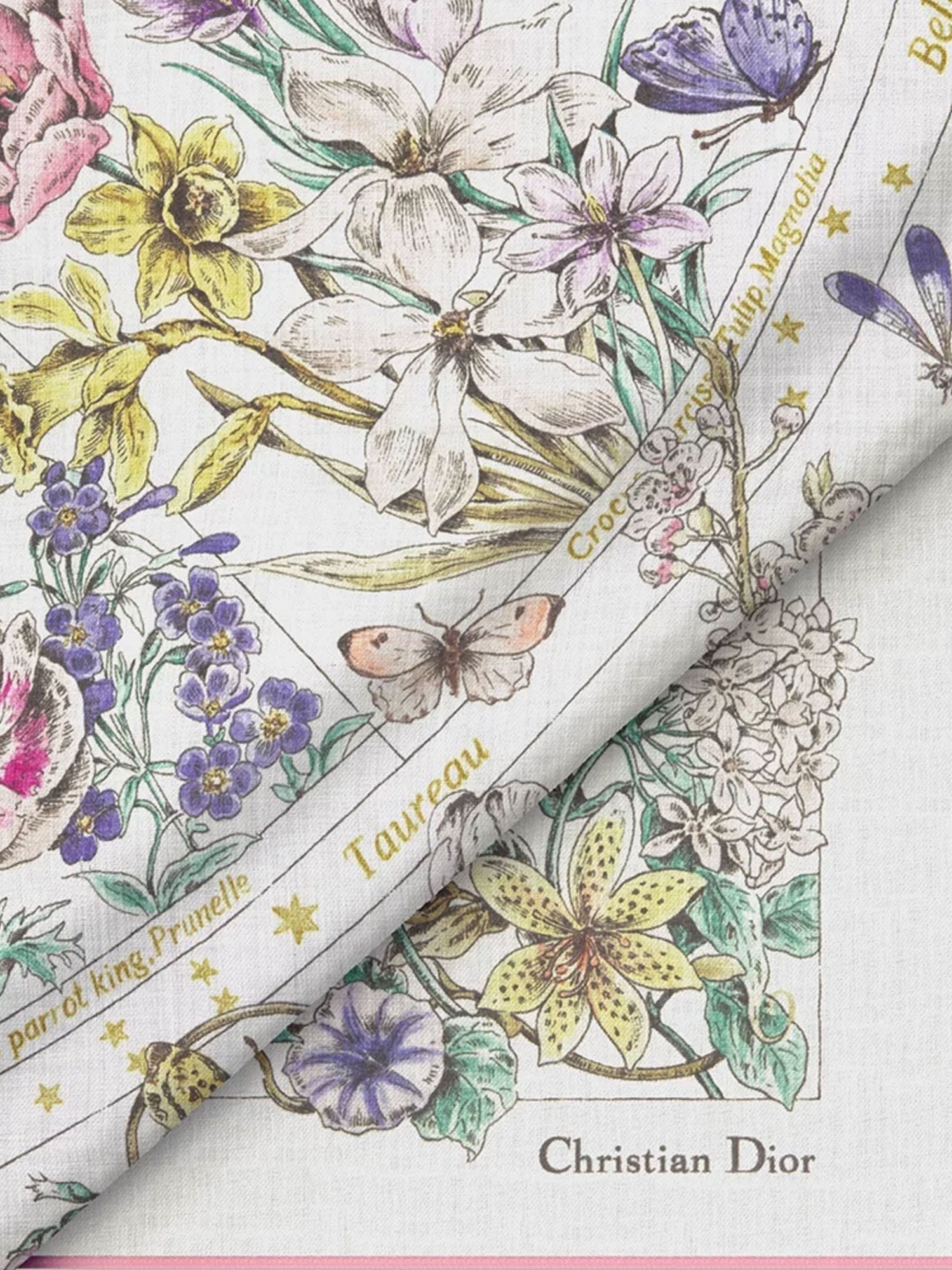 Dior Astral Flowers cashmere shawl