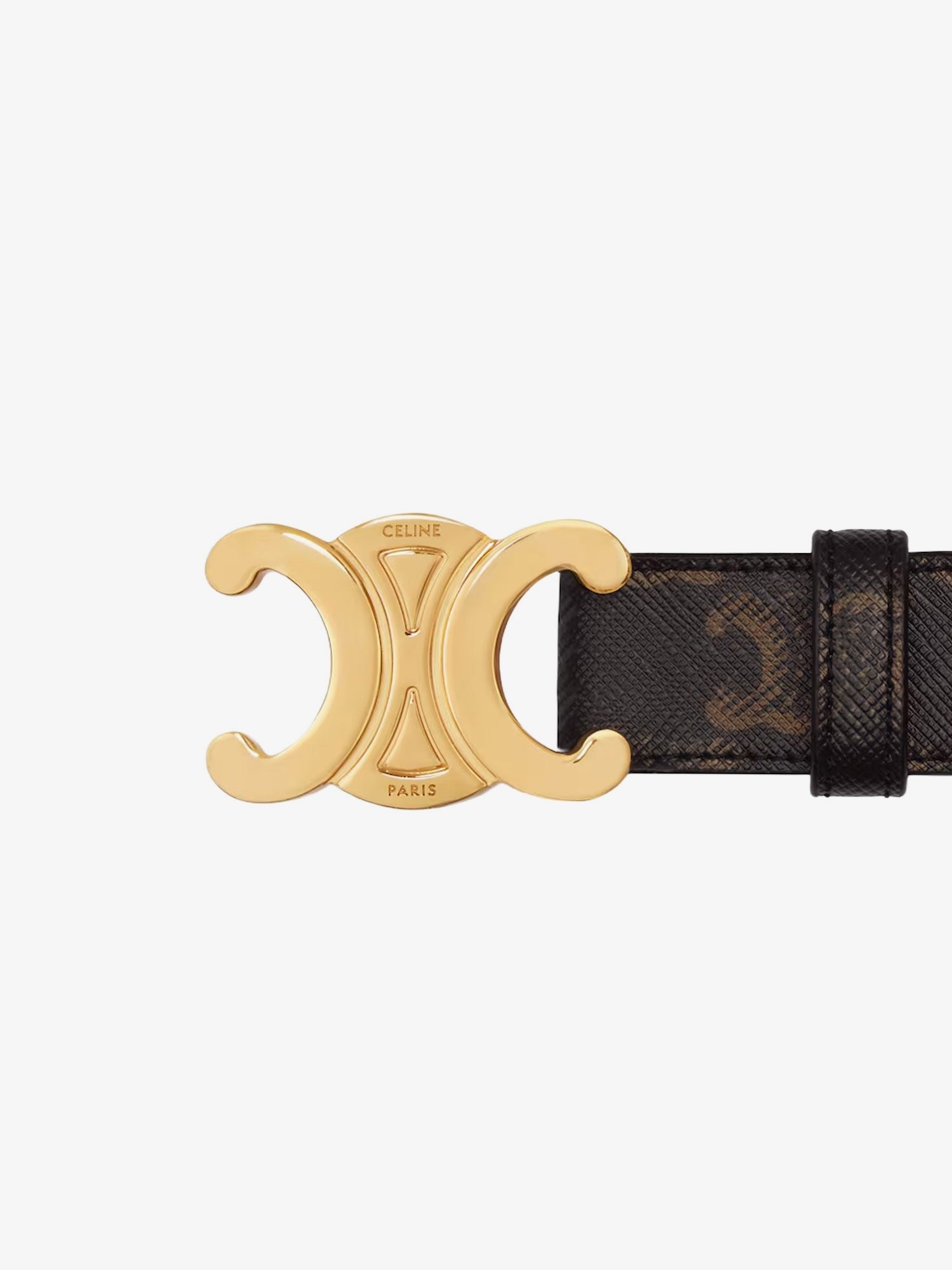 Triomphe coated canvas belt
