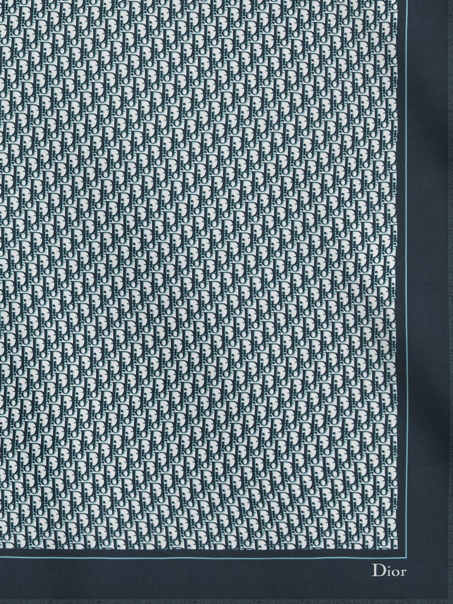Dior Dior - Dior Oblique cashmere foulard