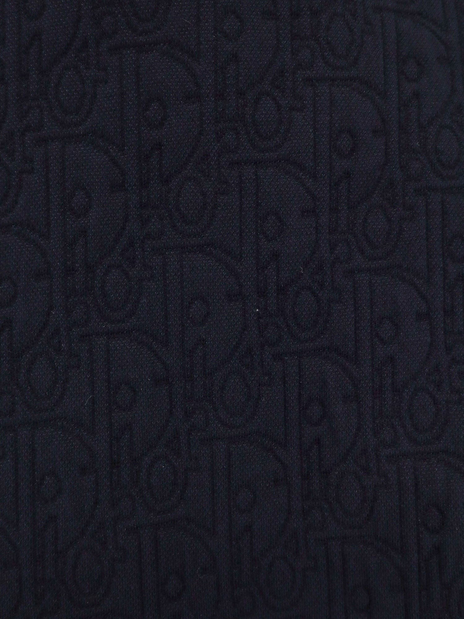 Dior Oblique hooded sweatshirt