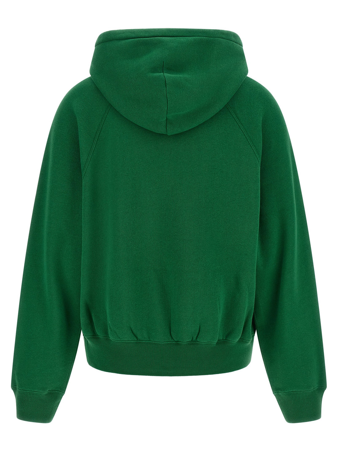 Polo Ralph Lauren - Embroidery and hoodie GREEN