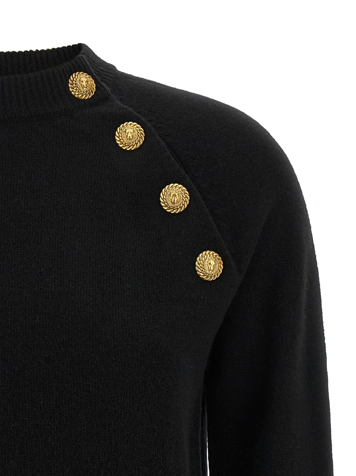 Balmain - 'Leone Catena' sweater