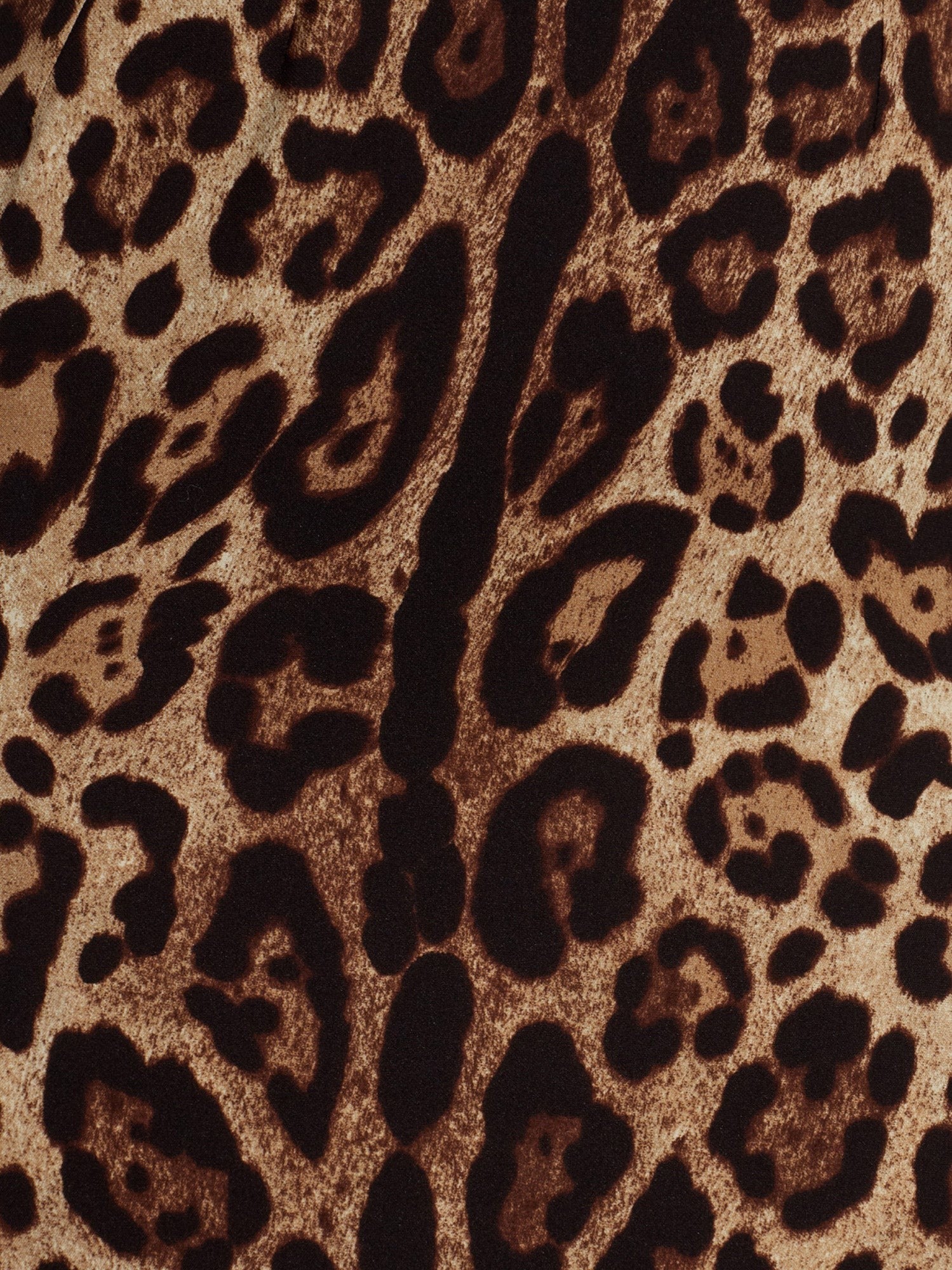Dolce & Gabbana Dolce & Gabbana - Midi Dress with Animal print