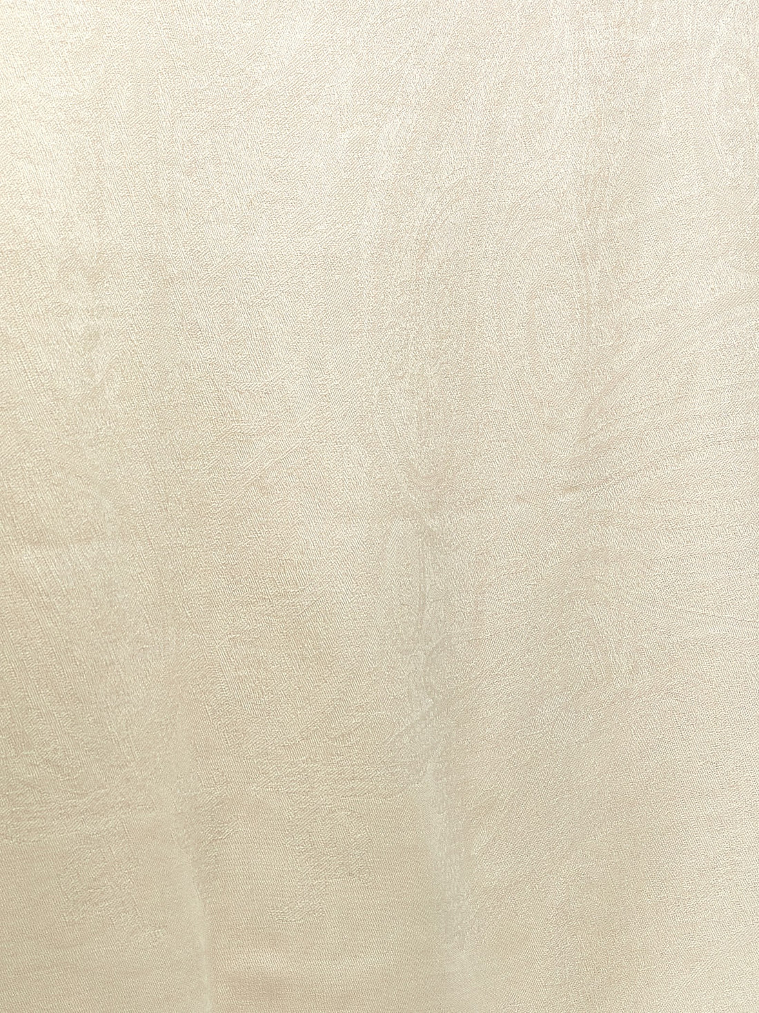 Max Mara - 'MxaPalmeti' stole