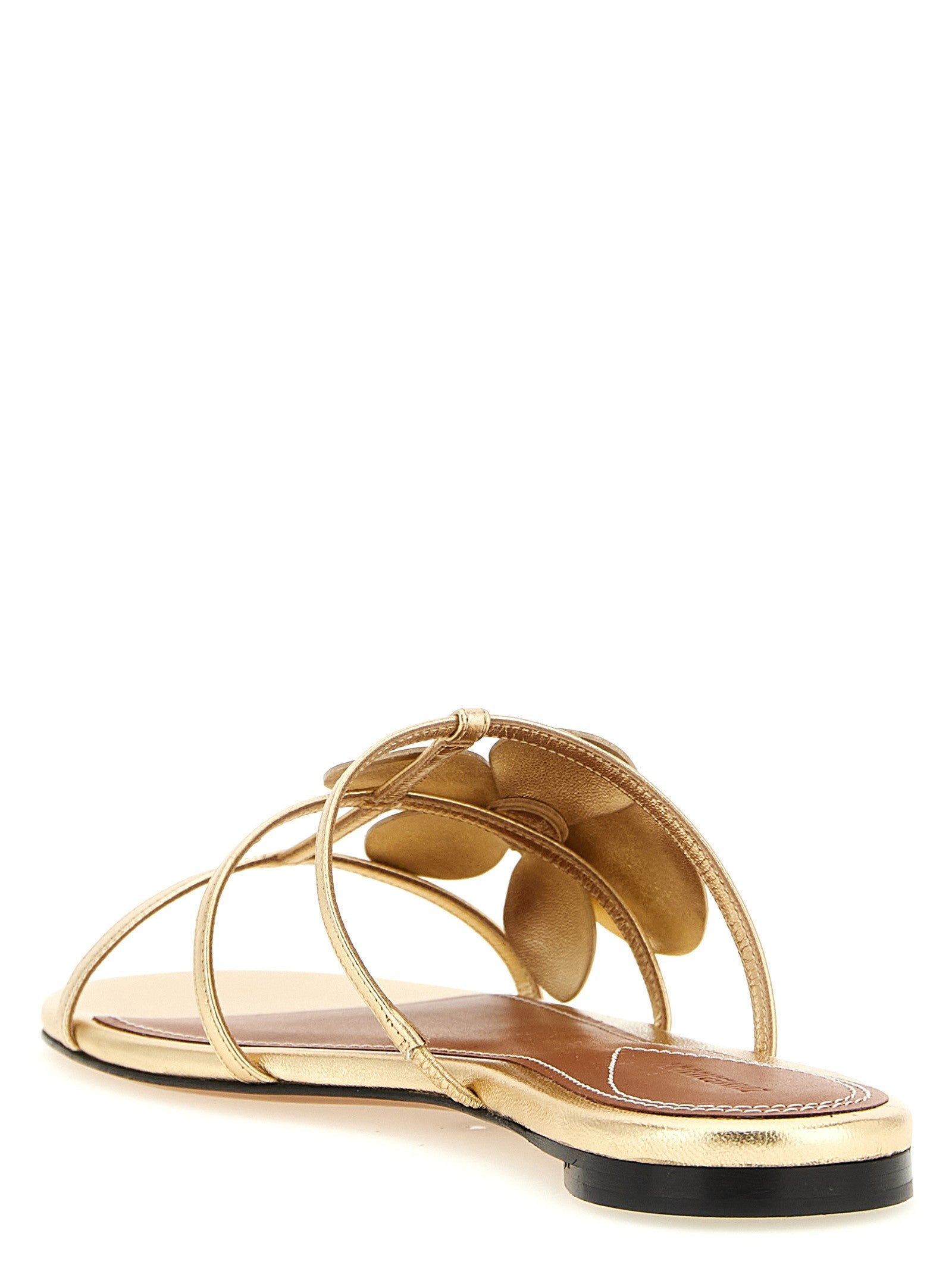 ZIMMERMANN - 'Orchid' slides
