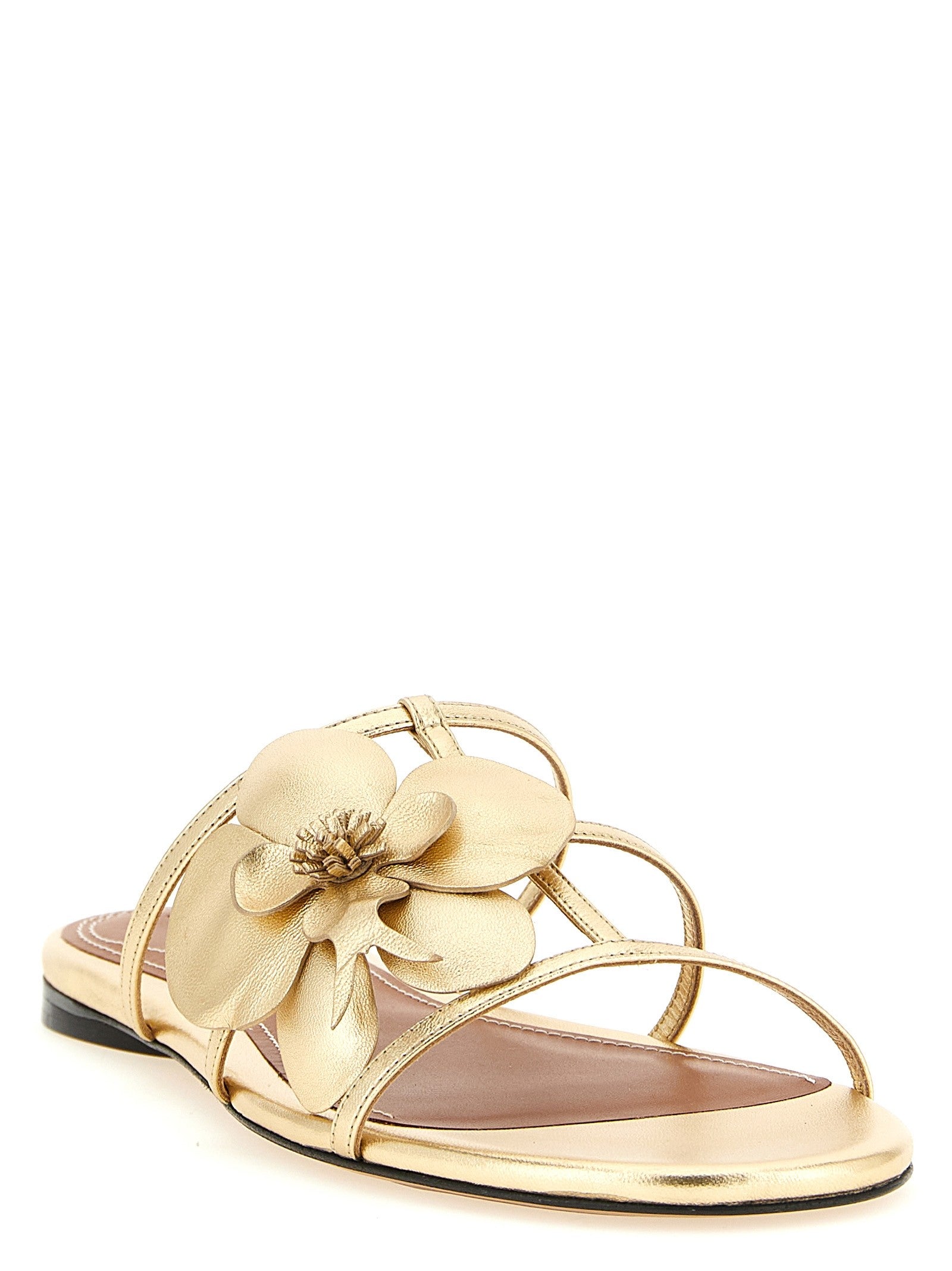 ZIMMERMANN - 'Orchid' slides