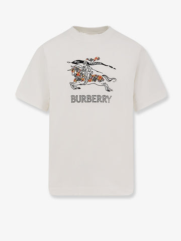 Organic cotton t-shirt organic-cotton-t-shirt_84d6a137-7588-41d7-bec4-dadce79e32f0