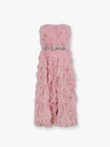Dolce & Gabbana Silk long dress with feathers