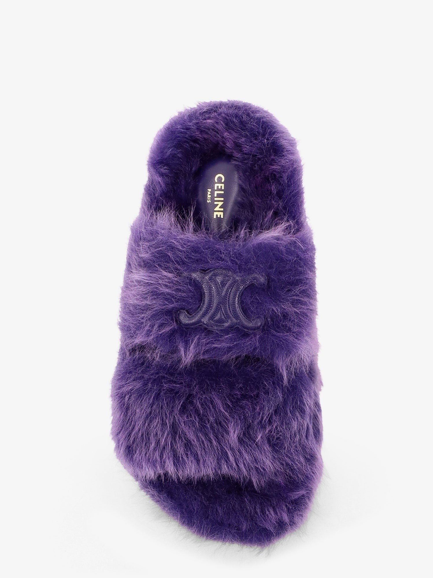 Triomphe Slide 05 shearling sandals